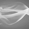 foghorn5